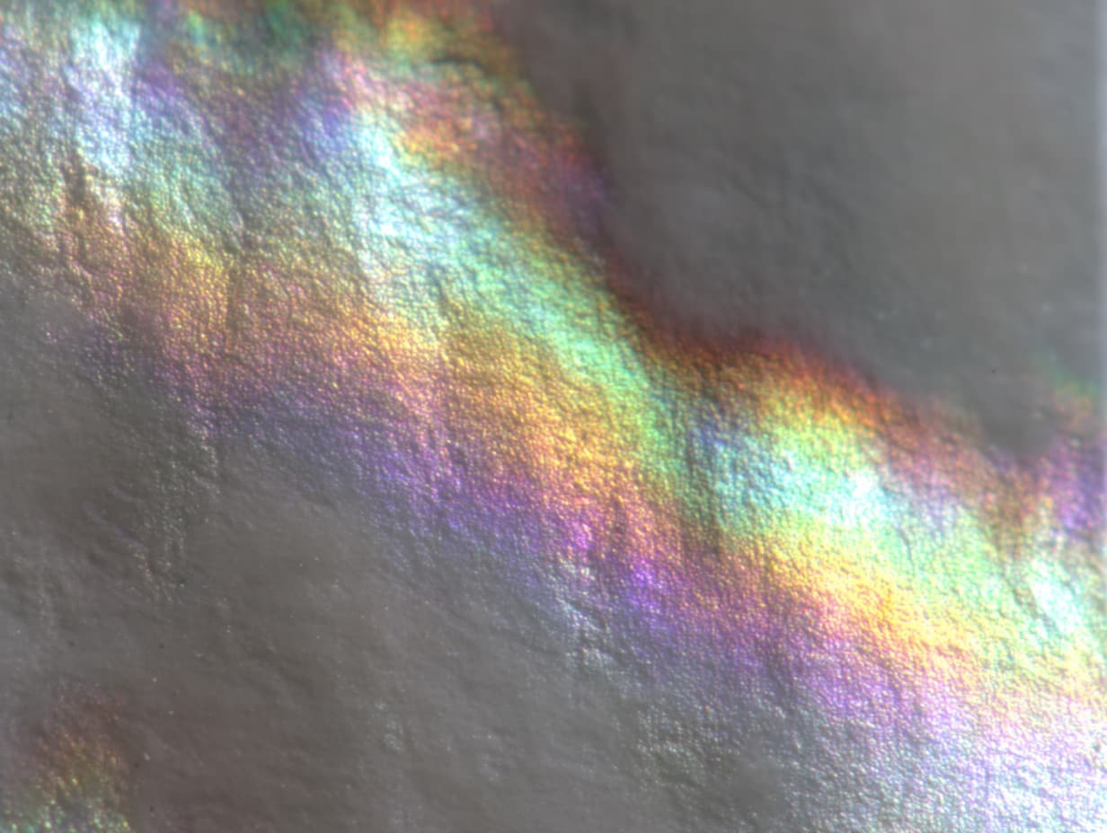 Abstract translucent artwork