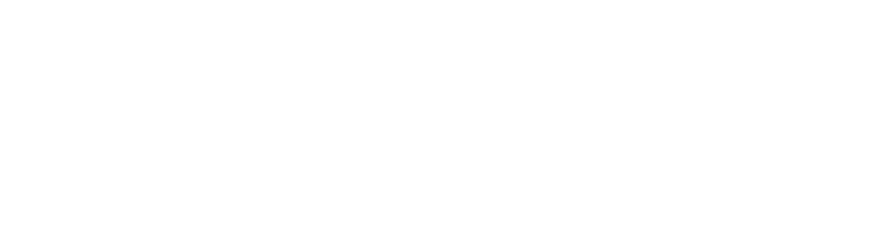 Codex Codex